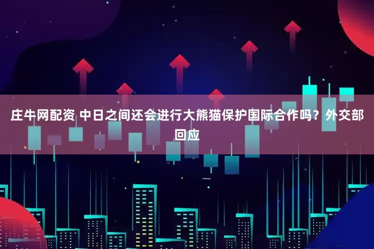 庄牛网配资 中日之间还会进行大熊猫保护国际合作吗？外交部回应