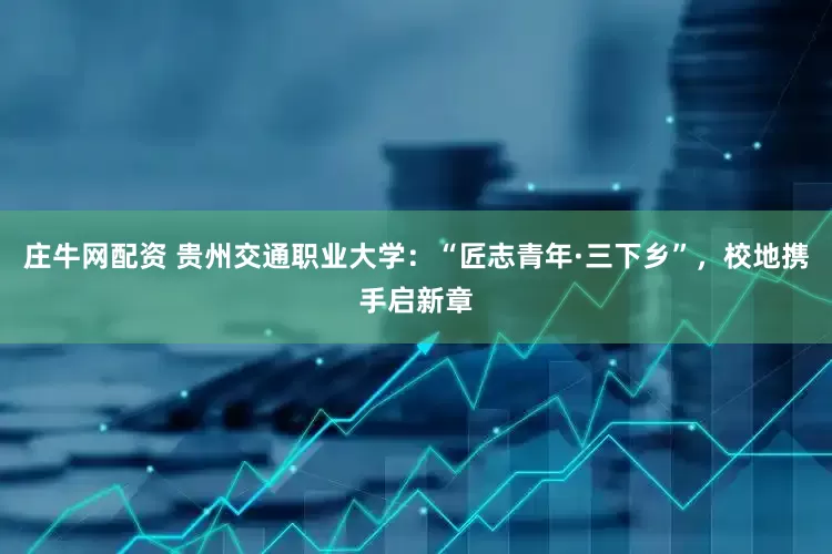 庄牛网配资 贵州交通职业大学：“匠志青年·三下乡”，校地携手启新章