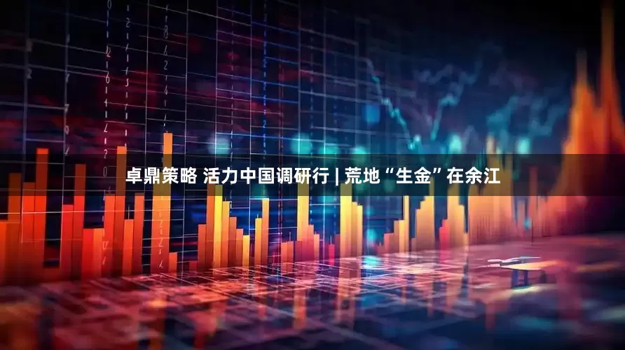 卓鼎策略 活力中国调研行 | 荒地“生金”在余江