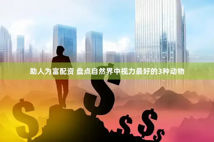 助人为富配资 盘点自然界中视力最好的3种动物