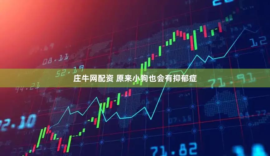 庄牛网配资 原来小狗也会有抑郁症