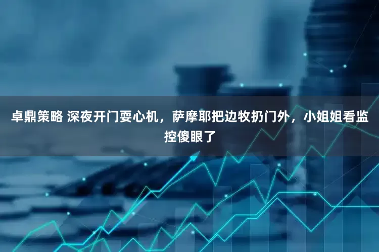 卓鼎策略 深夜开门耍心机，萨摩耶把边牧扔门外，小姐姐看监控傻眼了